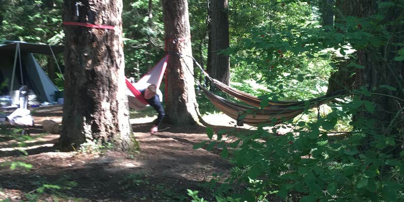 Camper submitted image from Trail Bridge Campground