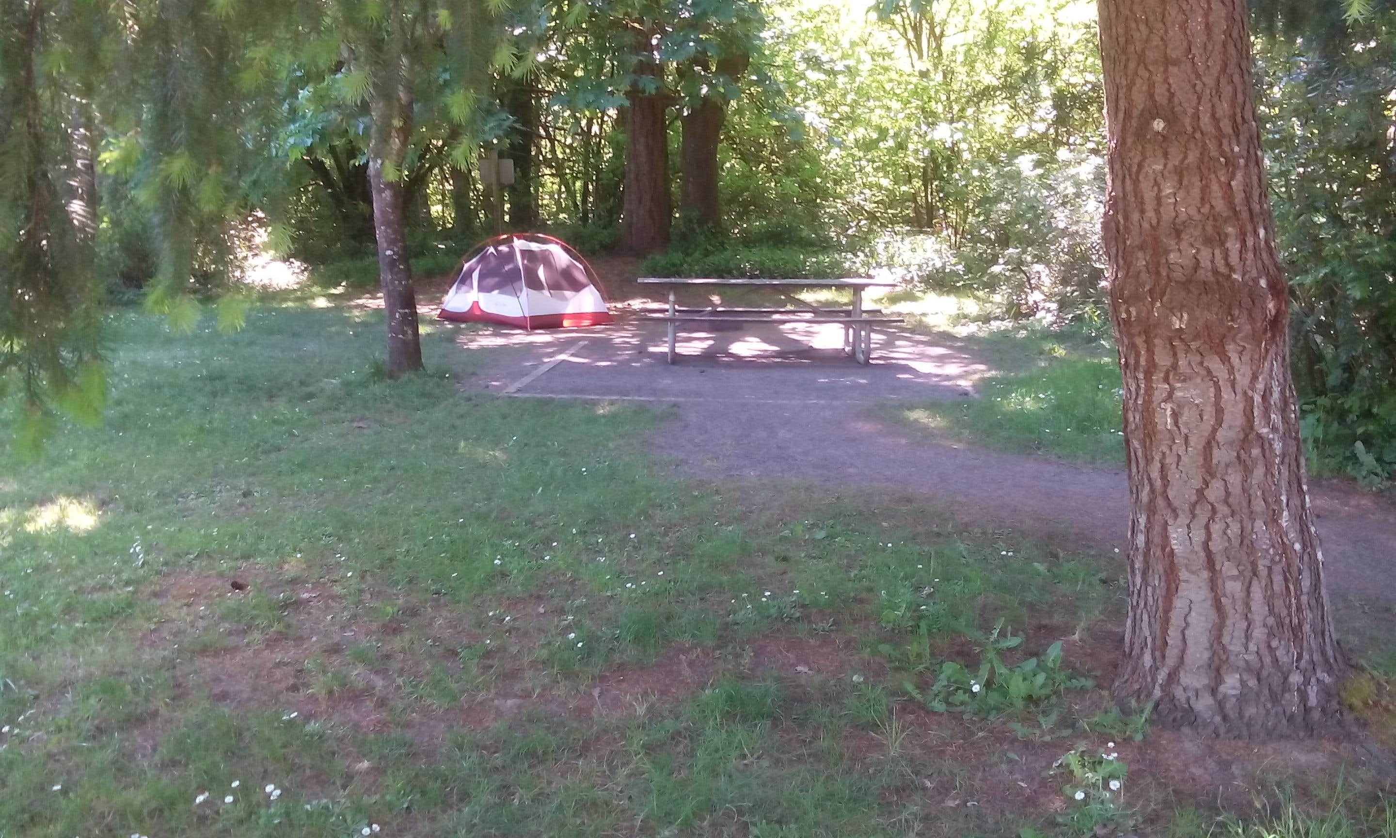 Camper submitted image from Champoeg State Heritage Area - 5