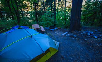 Shari G.'s photo at Purple Point Campground — Lake Chelan National Recreation Area near Lake Chelan National Recreation Area