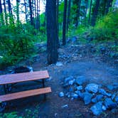 Review photo of Purple Point Campground — Lake Chelan National Recreation Area by Shari  G., August 31, 2016