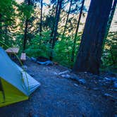 Review photo of Purple Point Campground — Lake Chelan National Recreation Area by Shari  G., August 31, 2016