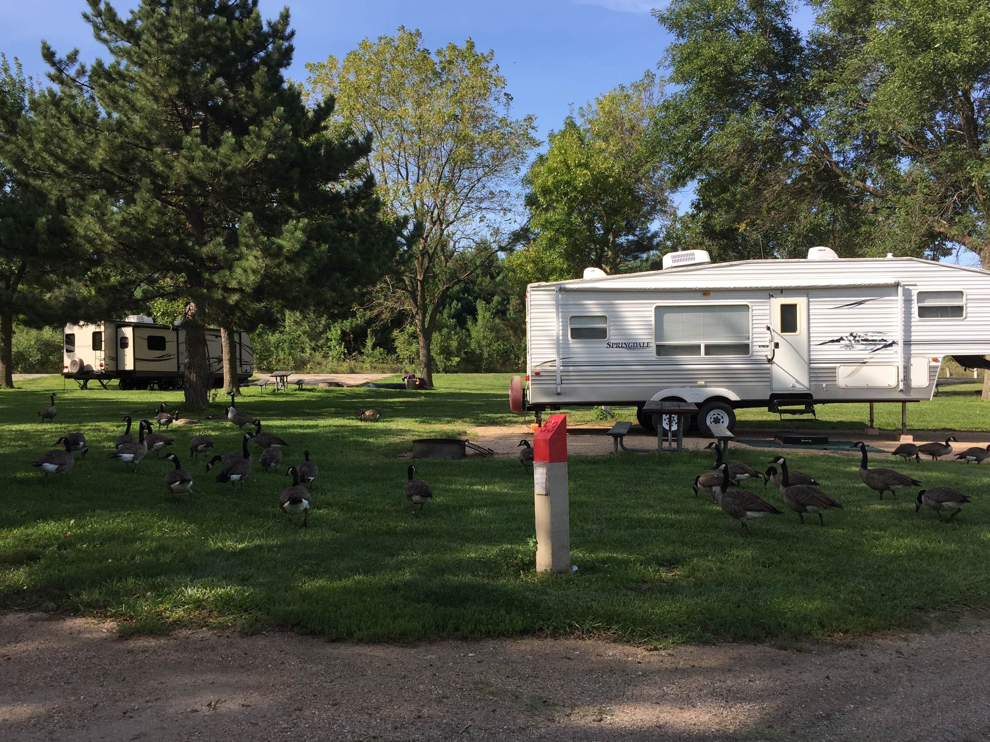 Camper submitted image from Cunningham Lake Dam Site 11 Campground - 2