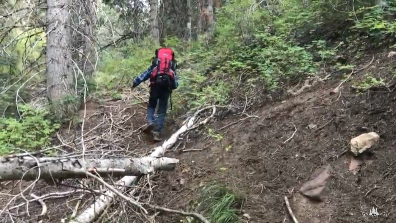 Camper-submitted photo at West Fork - Whiskey Creek Dispersed Camping near Lynndyl, UT