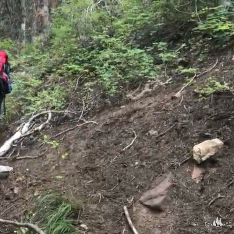 West Fork Whiskey Creek Dispersed Camping Oak City, UT