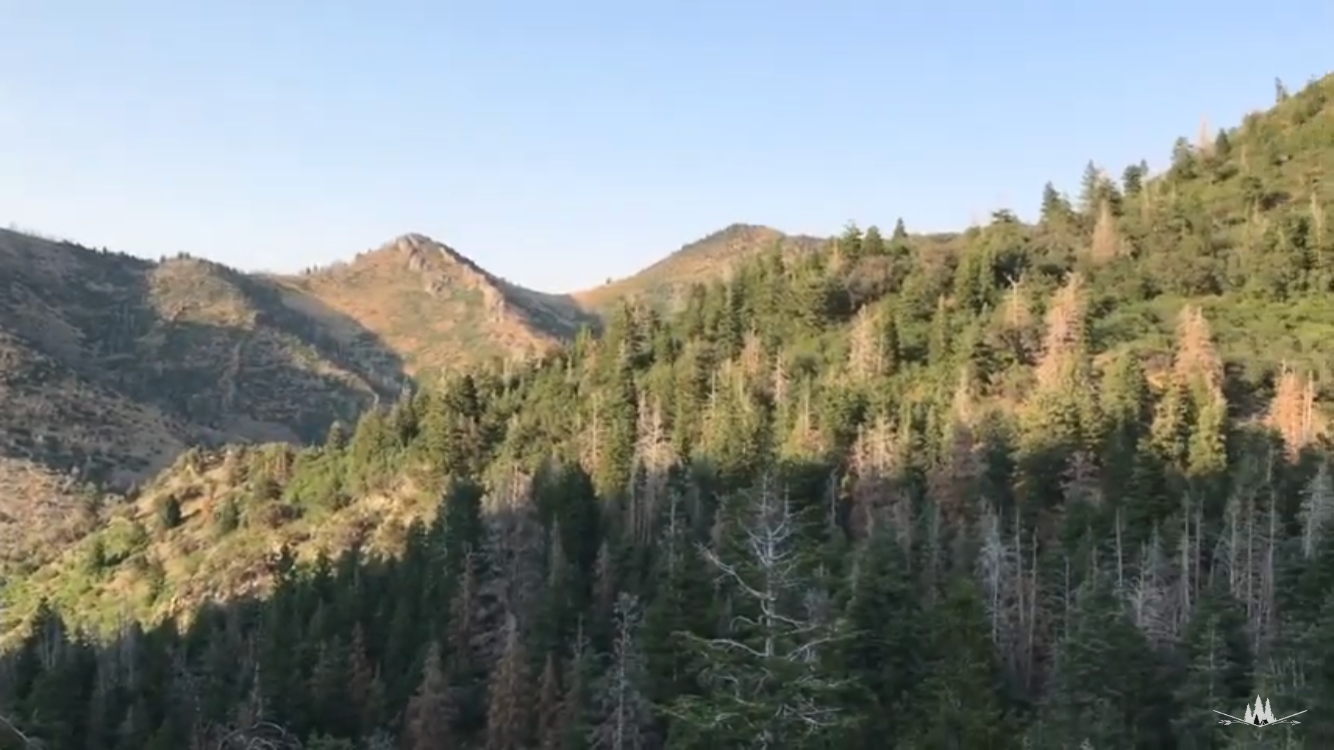 Camper-submitted photo at West Fork - Whiskey Creek Dispersed Camping near Lynndyl, UT