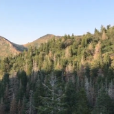 Review photo of West Fork - Whiskey Creek Dispersed Camping by Derek E., June 10, 2019