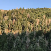 Review photo of West Fork - Whiskey Creek Dispersed Camping by Derek E., June 10, 2019
