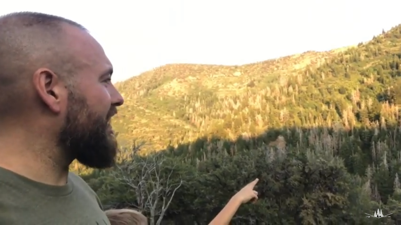 Camping near Painted Rocks Campground — Yuba State Park: West Fork - Whiskey Creek Dispersed Camping, Oak City, Utah