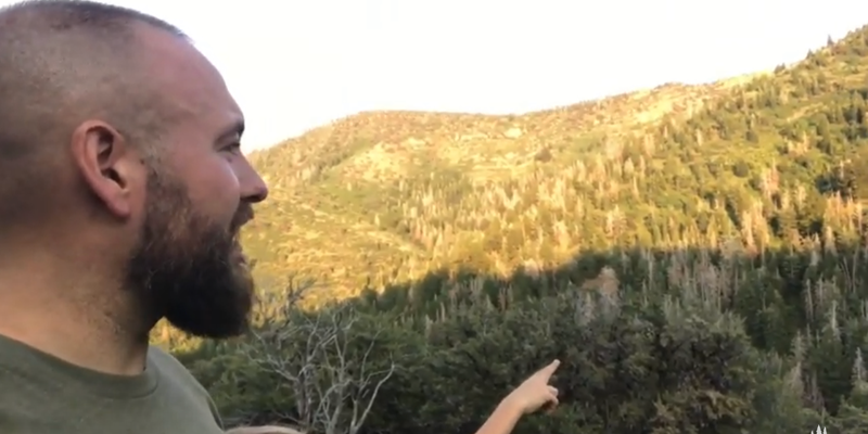 Camper submitted image from West Fork - Whiskey Creek Dispersed Camping