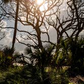 Review photo of Little Tybee Island Dispersed by Stephanie J., June 10, 2019