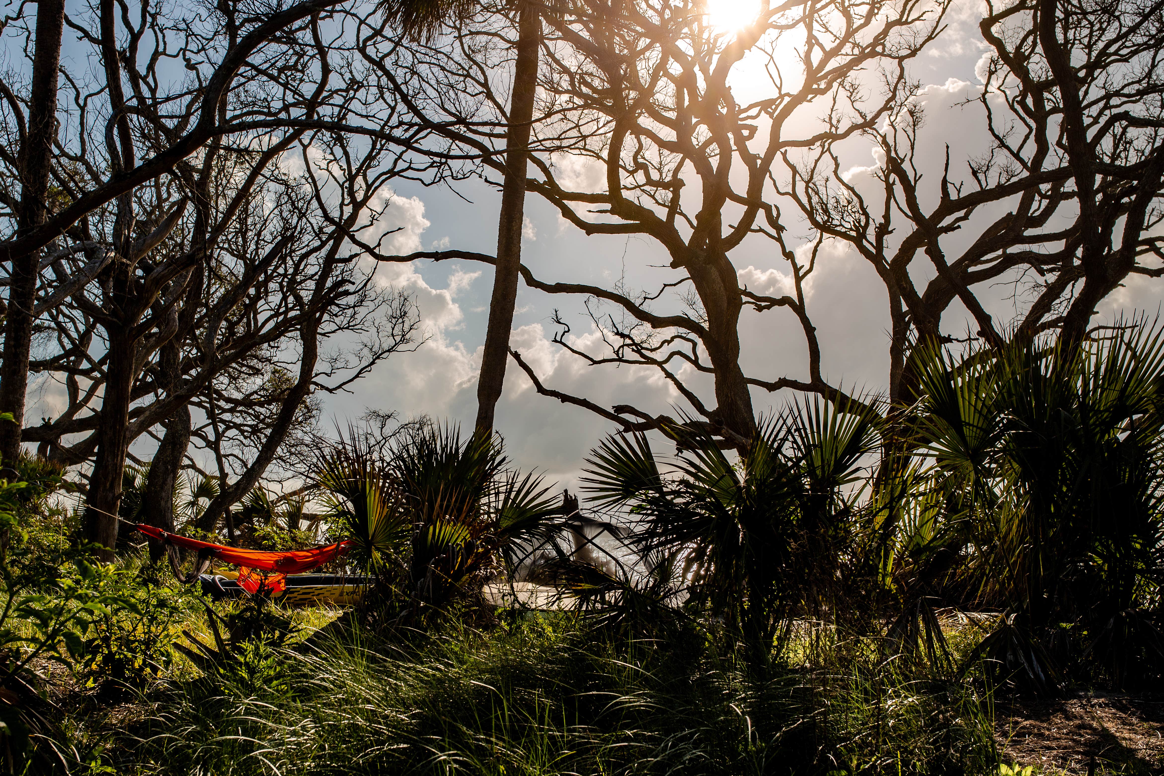 Camper submitted image from Little Tybee Island Dispersed - 2