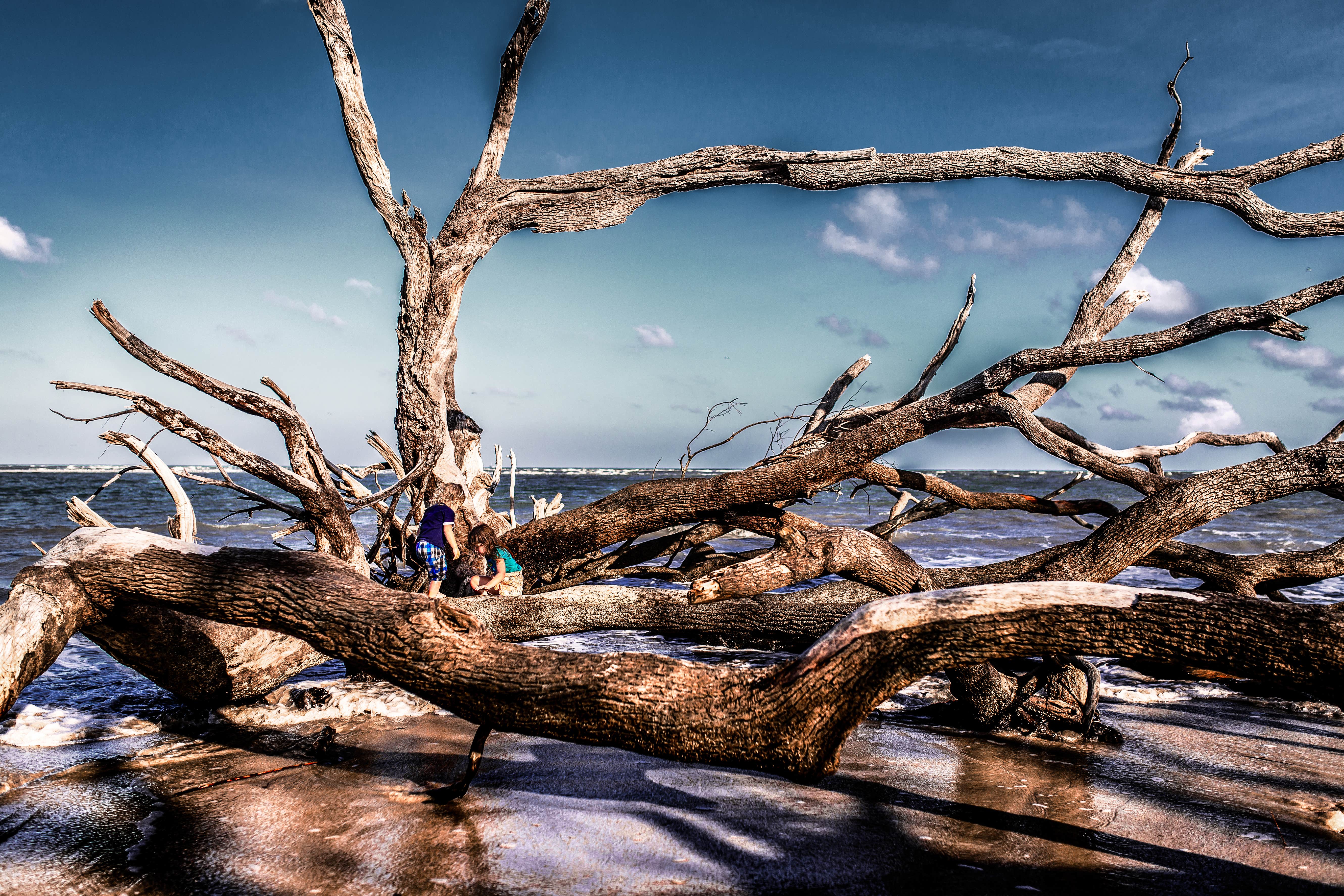 Camper submitted image from Little Tybee Island Dispersed - 5