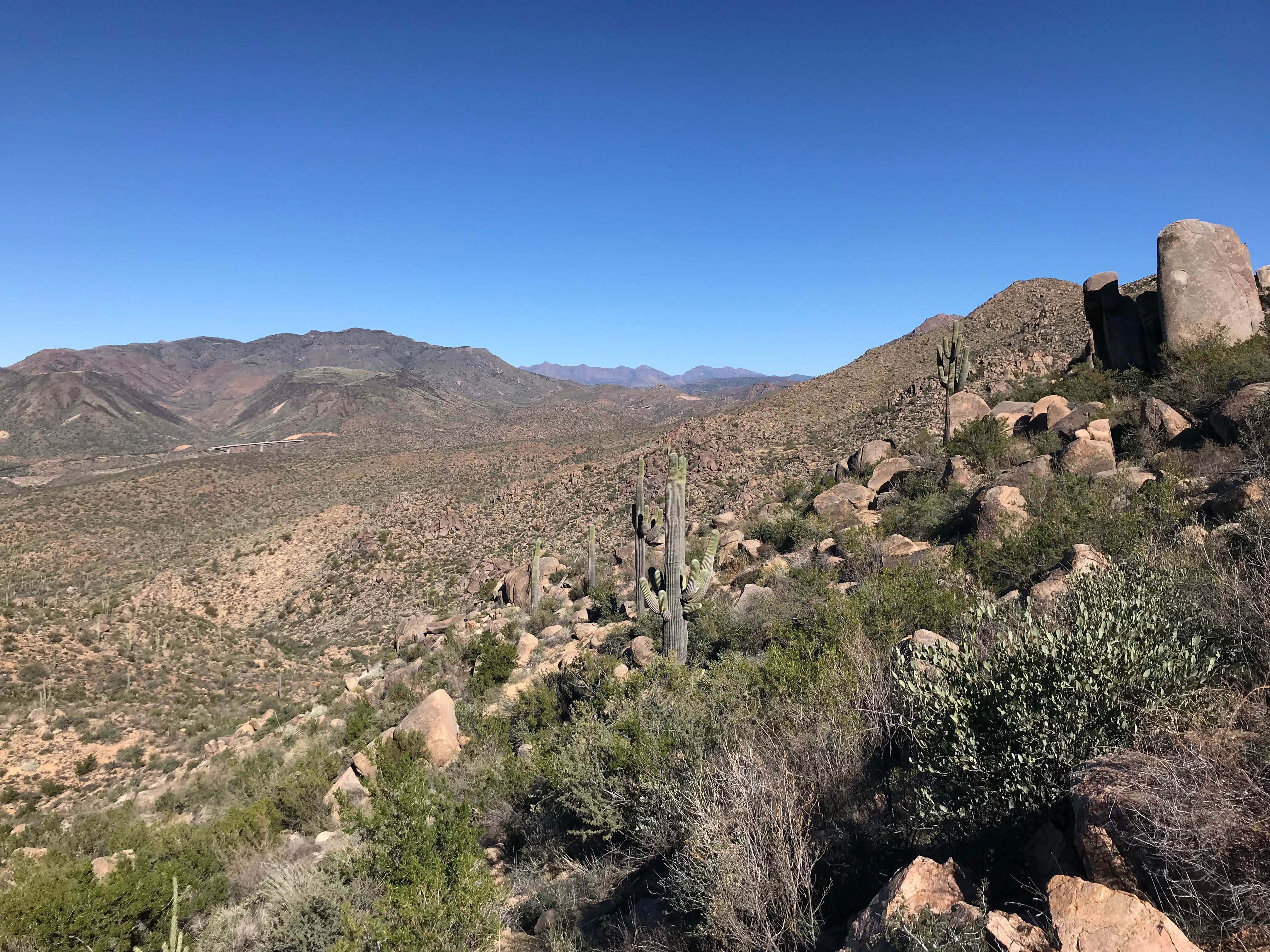 Camper submitted image from Mesquite Wash Dispersed - 2