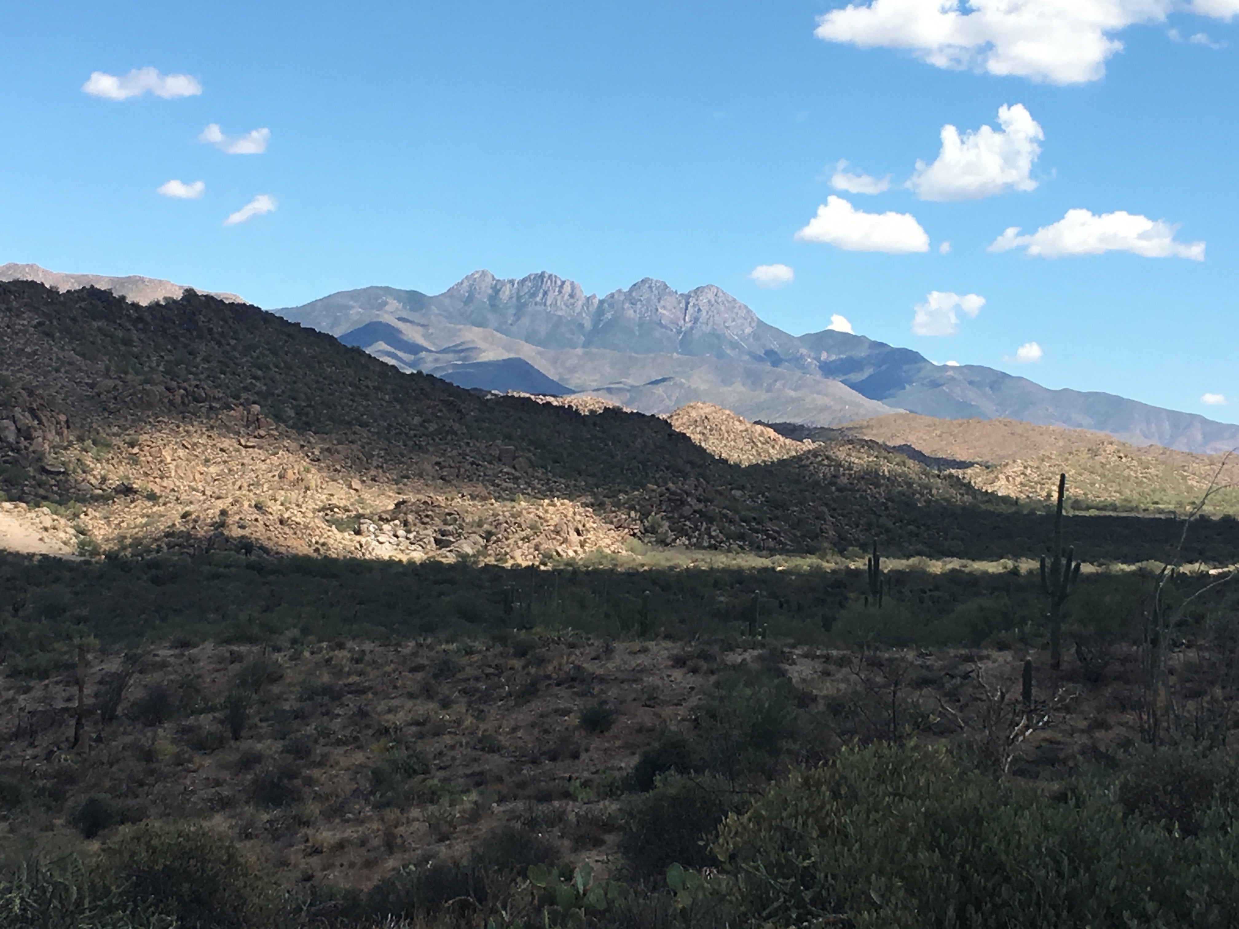 View of Four Peaks