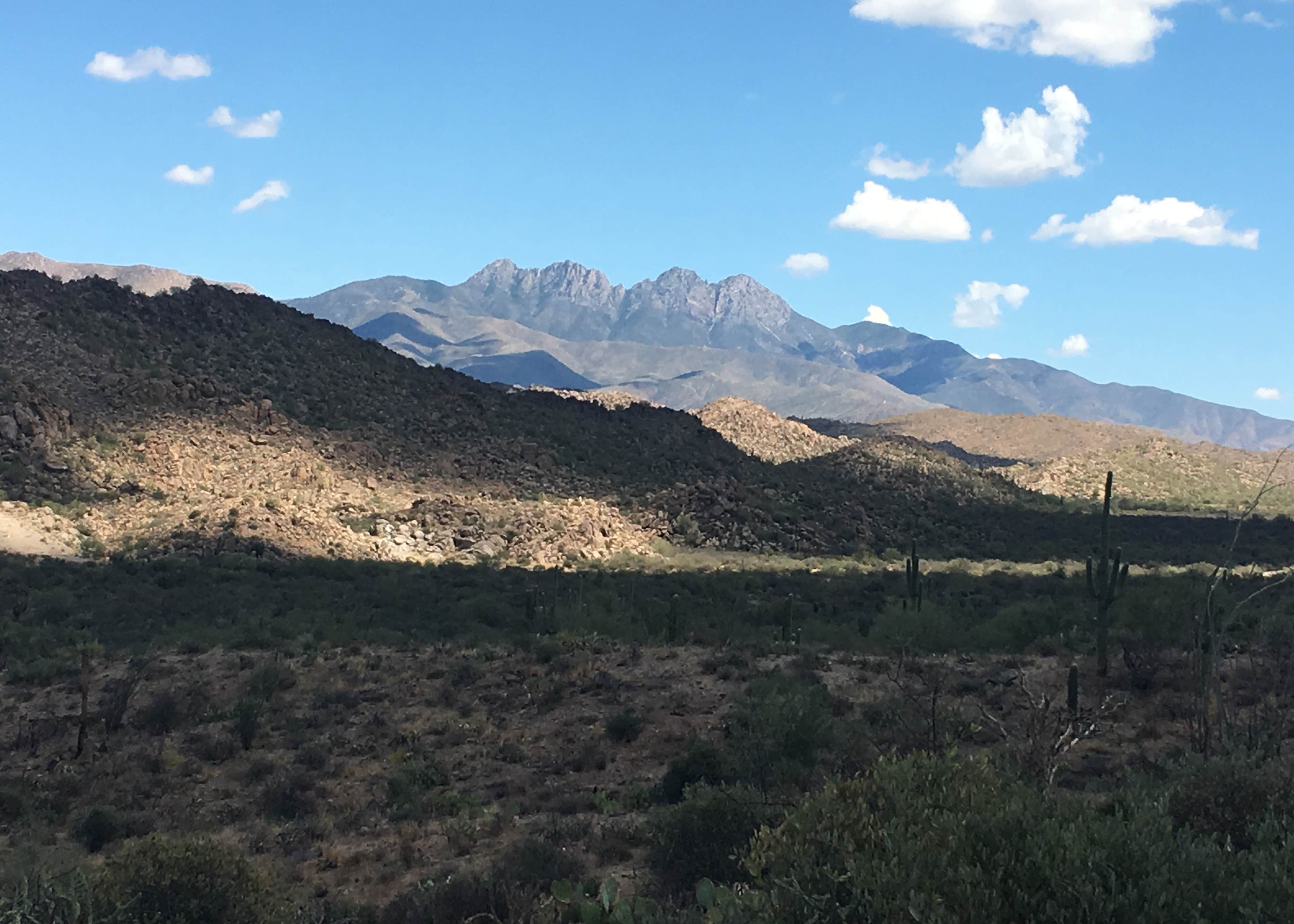 Mesquite Wash Dispersed Camping The Dyrt