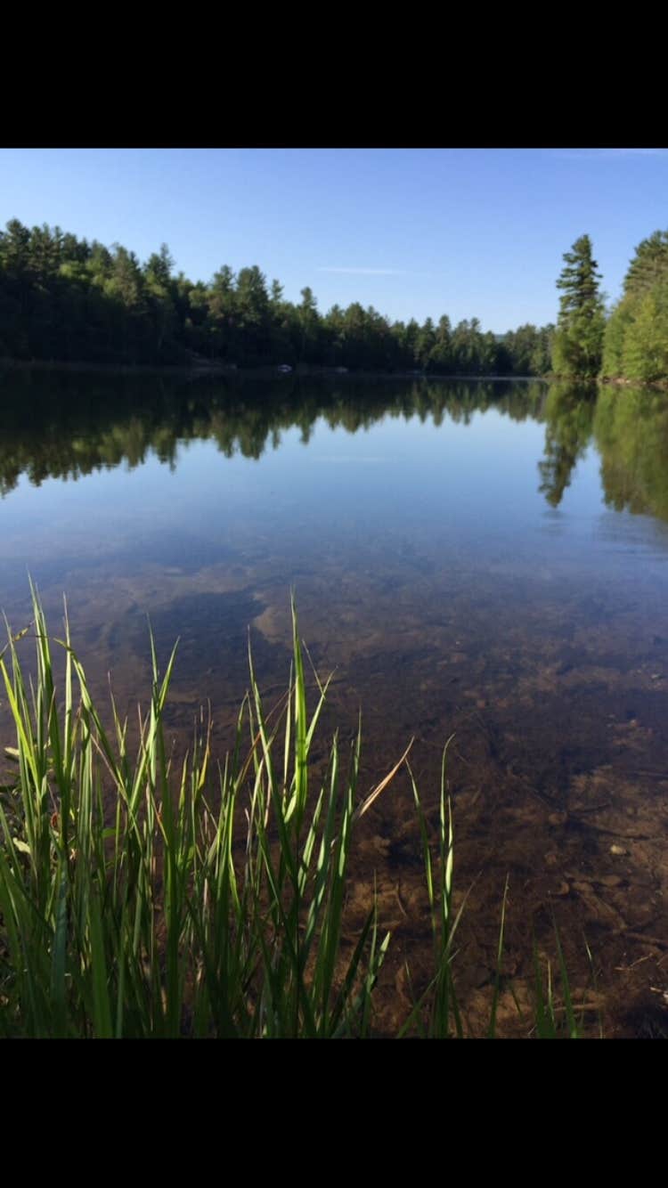 Camper submitted image from Lincoln Pond Campground - 5