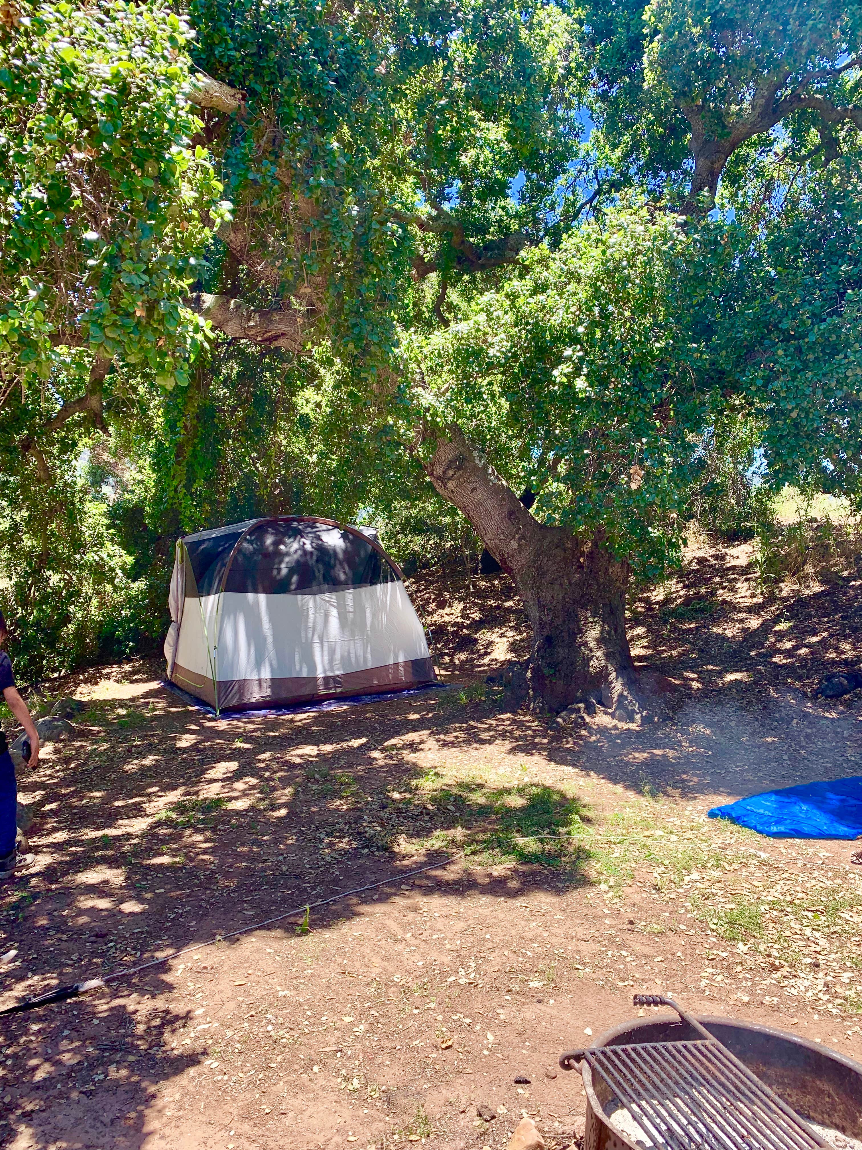 Camper submitted image from Dennison Park - 4
