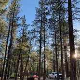 Review photo of Holcomb Valley Campground by Bryan H., June 10, 2019