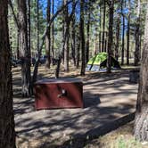 Review photo of Holcomb Valley Campground by Bryan H., June 10, 2019