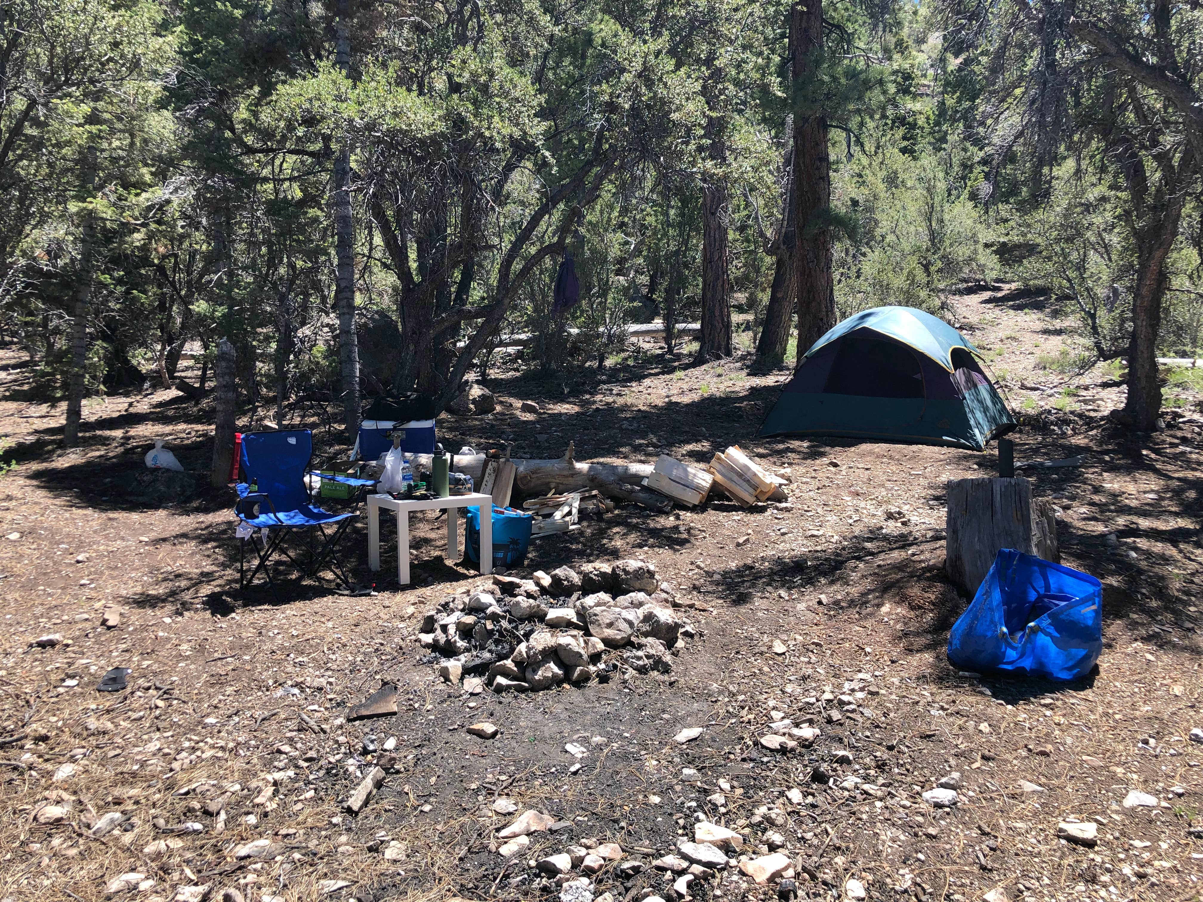 Steven B.'s photo at Champion Road Dispersed Campsites in Nevada