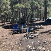 Review photo of Champion Road Dispersed Campsites by Steven B., June 10, 2019