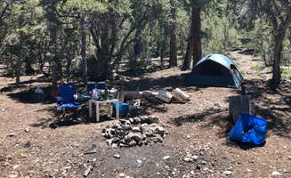 Steven B.'s photo at Champion Road Dispersed Campsites in Nevada
