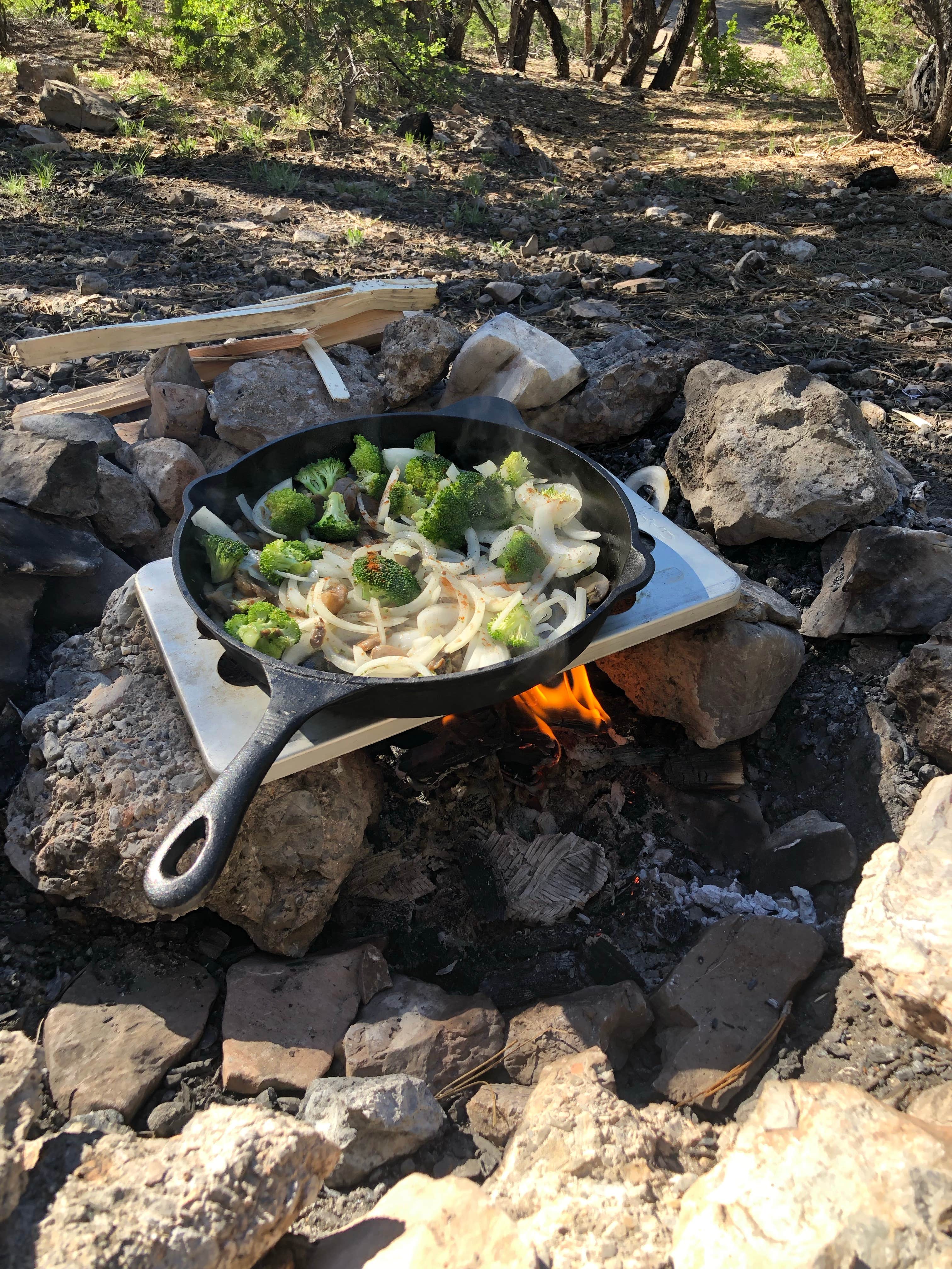 Camper submitted image from Champion Road Dispersed Campsites - 2