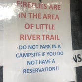Review photo of Elkmont Campground — Great Smoky Mountains National Park by Lori H., June 10, 2019