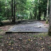 Review photo of Elkmont Campground — Great Smoky Mountains National Park by Lori H., June 10, 2019