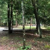 Review photo of Elkmont Campground — Great Smoky Mountains National Park by Lori H., June 10, 2019