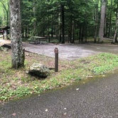 Review photo of Elkmont Campground — Great Smoky Mountains National Park by Lori H., June 10, 2019