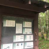 Review photo of Elkmont Campground — Great Smoky Mountains National Park by Lori H., June 10, 2019