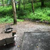 Review photo of Elkmont Campground — Great Smoky Mountains National Park by Lori H., June 10, 2019