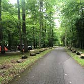 Review photo of Elkmont Campground — Great Smoky Mountains National Park by Lori H., June 10, 2019