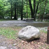 Review photo of Elkmont Campground — Great Smoky Mountains National Park by Lori H., June 10, 2019