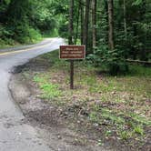 Review photo of Elkmont Campground — Great Smoky Mountains National Park by Lori H., June 10, 2019