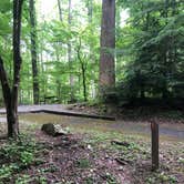 Review photo of Elkmont Campground — Great Smoky Mountains National Park by Lori H., June 10, 2019