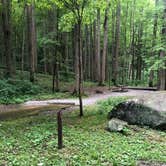 Review photo of Elkmont Campground — Great Smoky Mountains National Park by Lori H., June 10, 2019