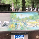 Review photo of Elkmont Campground — Great Smoky Mountains National Park by Lori H., June 10, 2019