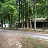 Review photo of Elkmont Campground — Great Smoky Mountains National Park by Lori H., June 10, 2019