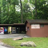 Review photo of Elkmont Campground — Great Smoky Mountains National Park by Lori H., June 10, 2019