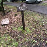 Review photo of Elkmont Campground — Great Smoky Mountains National Park by Lori H., June 10, 2019