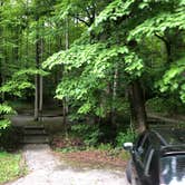 Review photo of Elkmont Campground — Great Smoky Mountains National Park by Lori H., June 10, 2019