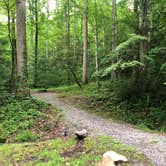 Review photo of Elkmont Campground — Great Smoky Mountains National Park by Lori H., June 10, 2019