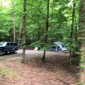 Review photo of Elkmont Campground — Great Smoky Mountains National Park by Lori H., June 10, 2019