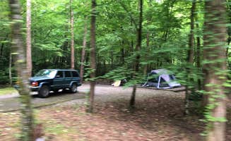 Lori H.'s photo at Elkmont Campground — Great Smoky Mountains National Park near Gatlinburg, TN