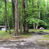 Review photo of Elkmont Campground — Great Smoky Mountains National Park by Lori H., June 10, 2019