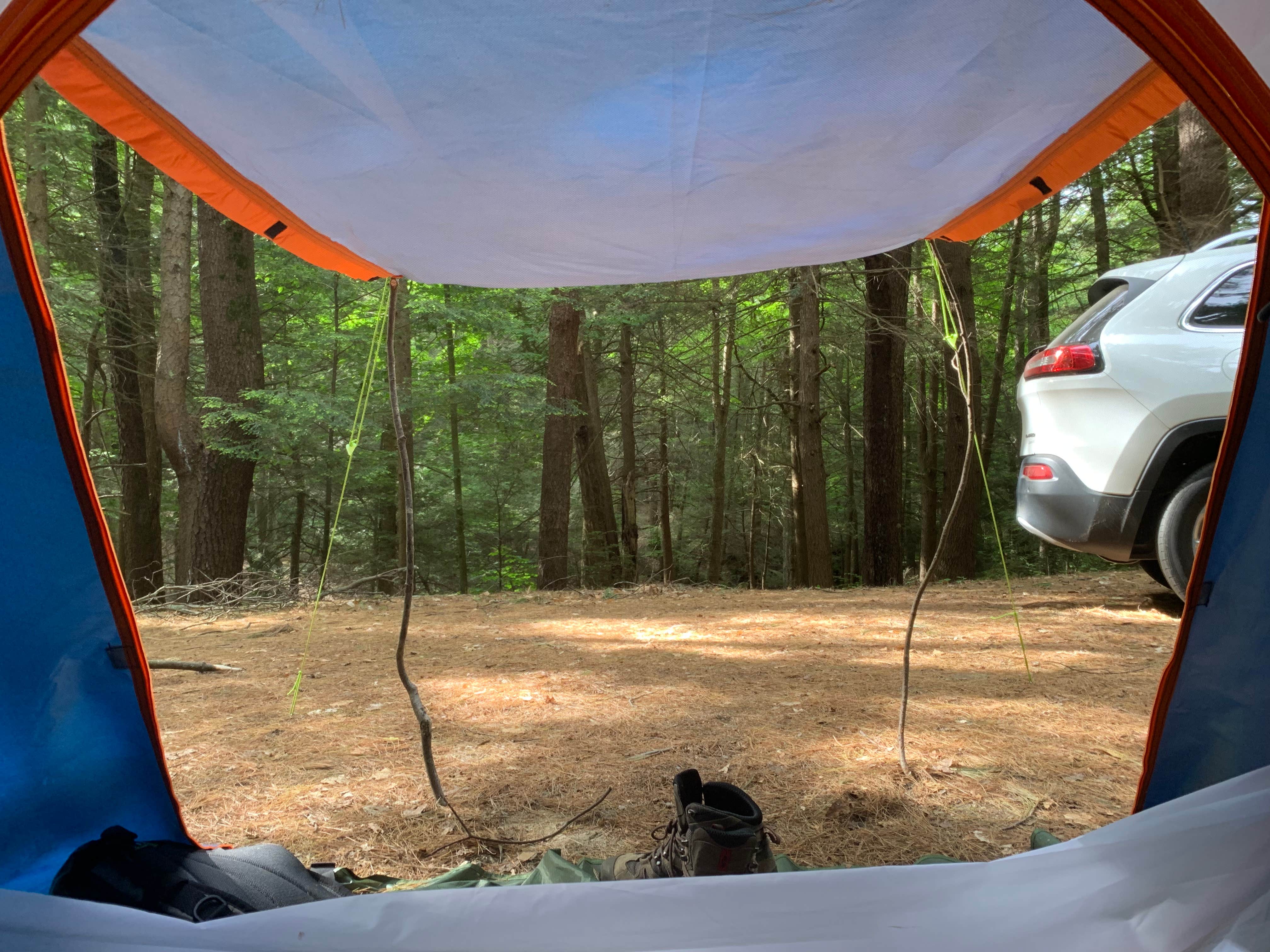 Rosie M.'s photo at Granville State Forest near Southwick, MA