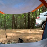Review photo of Granville State Forest by Rosie M., June 10, 2019