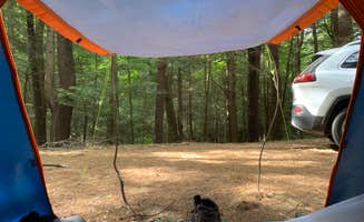 Rosie M.'s photo at Granville State Forest near Southwick, MA